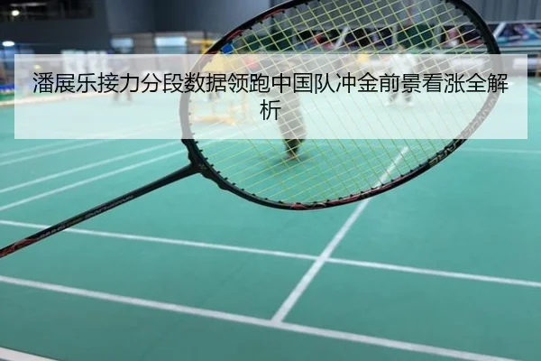 潘展乐接力分段数据领跑中国队冲金前景看涨全解析
